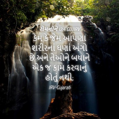 Picture 04 - રોમનોને 12:4 GUJIRV - કેમ કે જેમ આપણા - Bible Verse Picture