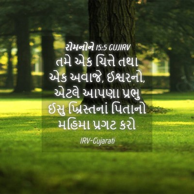 Picture 04 - રોમનોને 15:5 GUJIRV - તમે એક ચિત્તે તથા - Bible Verse Picture