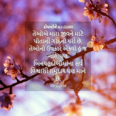 Picture 04 - રોમનોને 16:4 GUJIRV - તેઓએ મારા જીવને - Bible Verse Picture
