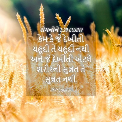 Picture 04 - રોમનોને 2:28 GUJIRV - કેમ કે જે દેખીતો - Bible Verse Picture