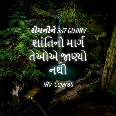 Picture 04 - રોમનોને 3:17 GUJIRV - શાંતિનો માર્ગ - Bible Verse Picture