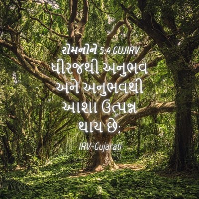 Picture 04 - રોમનોને 5:4 GUJIRV - ધીરજથી અનુભવ અને - Bible Verse Picture