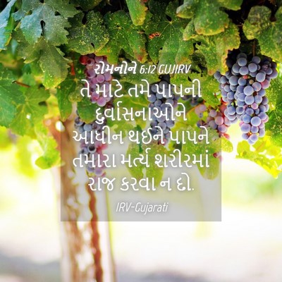 Picture 04 - રોમનોને 6:12 GUJIRV - તે માટે તમે પાપની - Bible Verse Picture