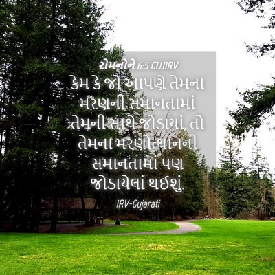 Picture 04 - રોમનોને 6:5 GUJIRV - કેમ કે જો આપણે - Bible Verse Picture
