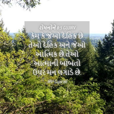 Picture 04 - રોમનોને 8:5 GUJIRV - કેમ કે જેઓ દૈહિક છે - Bible Verse Picture
