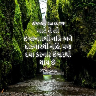 Picture 04 - રોમનોને 9:16 GUJIRV - માટે તે તો - Bible Verse Picture