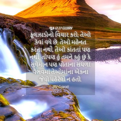Picture 04 - લૂક 12:27 GUJIRV - ફૂલઝાડોનો વિચાર - Bible Verse Picture