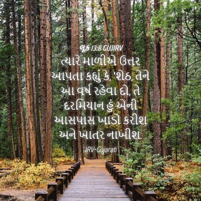 Picture 04 - લૂક 13:8 GUJIRV - ત્યારે માળીએ - Bible Verse Picture