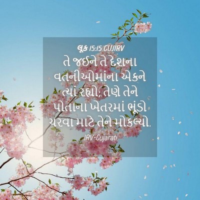 Picture 04 - લૂક 15:15 GUJIRV - તે જઈને તે દેશના - Bible Verse Picture
