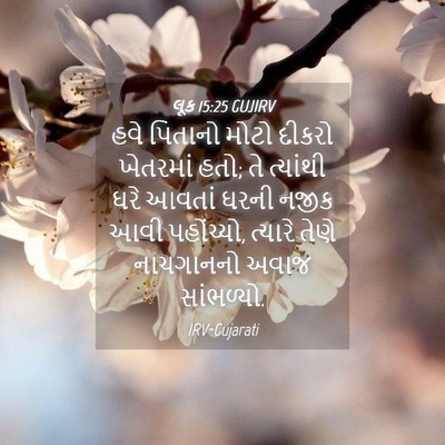 Picture 04 - લૂક 15:25 GUJIRV - હવે પિતાનો મોટો - Bible Verse Picture