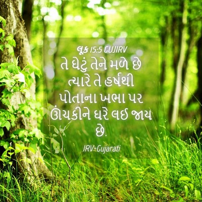 Picture 04 - લૂક 15:5 GUJIRV - તે ઘેટું તેને મળે - Bible Verse Picture