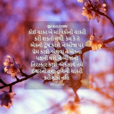 Picture 04 - લૂક 16:13 GUJIRV - કોઈ ચાકર બે - Bible Verse Picture