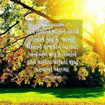 Picture 04 - લૂક 17:14 GUJIRV - અને તેઓને જોઈને - Bible Verse Picture