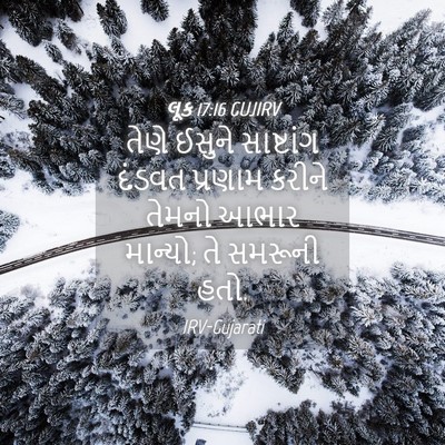 Picture 04 - લૂક 17:16 GUJIRV - તેણે ઈસુને - Bible Verse Picture