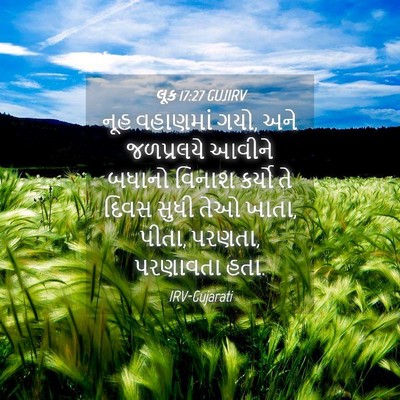 Picture 04 - લૂક 17:27 GUJIRV - નૂહ વહાણમાં ગયો, - Bible Verse Picture
