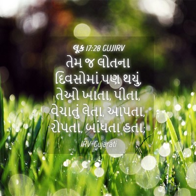 Picture 04 - લૂક 17:28 GUJIRV - તેમ જ લોતના - Bible Verse Picture