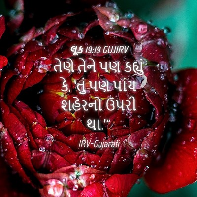 Picture 04 - લૂક 19:19 GUJIRV - તેણે તેને પણ - Bible Verse Picture