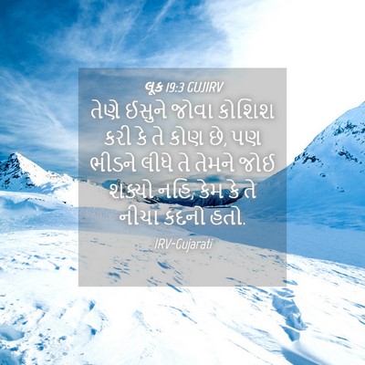 Picture 04 - લૂક 19:3 GUJIRV - તેણે ઈસુને જોવા - Bible Verse Picture