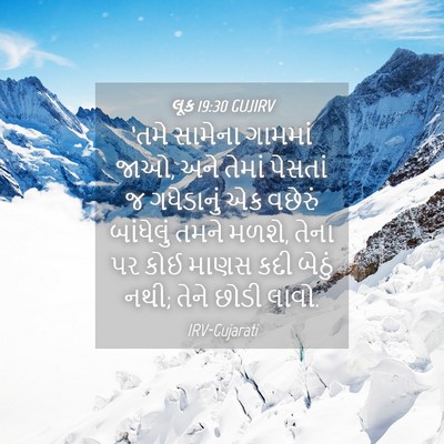Picture 04 - લૂક 19:30 GUJIRV - ‘તમે સામેના - Bible Verse Picture
