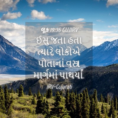 Picture 04 - લૂક 19:36 GUJIRV - ઈસુ જતા હતા ત્યારે - Bible Verse Picture