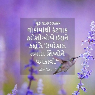 Picture 04 - લૂક 19:39 GUJIRV - લોકોમાંથી કેટલાક - Bible Verse Picture