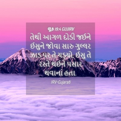Picture 04 - લૂક 19:4 GUJIRV - તેથી આગળ દોડી જઈને - Bible Verse Picture
