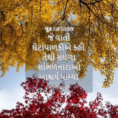 Picture 04 - લૂક 2:18 GUJIRV - જે વાતો - Bible Verse Picture