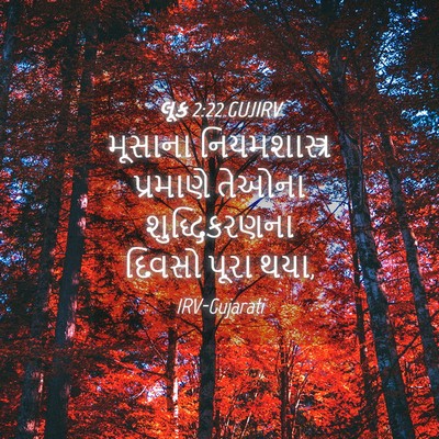 Picture 04 - લૂક 2:22 GUJIRV - મૂસાના - Bible Verse Picture