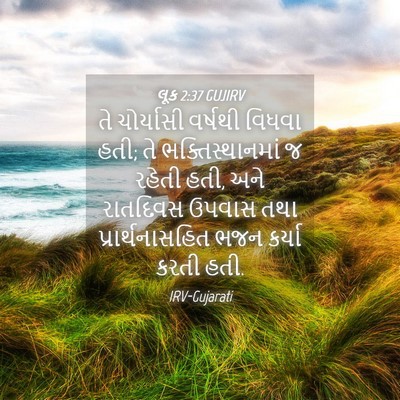 Picture 04 - લૂક 2:37 GUJIRV - તે ચોર્યાસી - Bible Verse Picture
