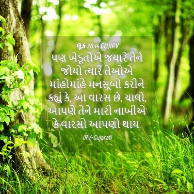 Picture 04 - લૂક 20:14 GUJIRV - પણ ખેડૂતોએ જયારે - Bible Verse Picture