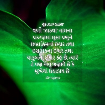 Picture 04 - લૂક 20:37 GUJIRV - વળી ‘ઝાડવાં’ - Bible Verse Picture
