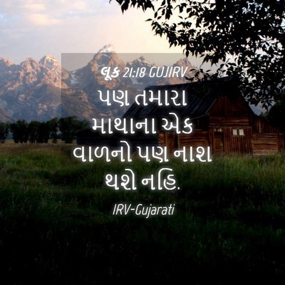 Picture 04 - લૂક 21:18 GUJIRV - પણ તમારા માથાના એક - Bible Verse Picture