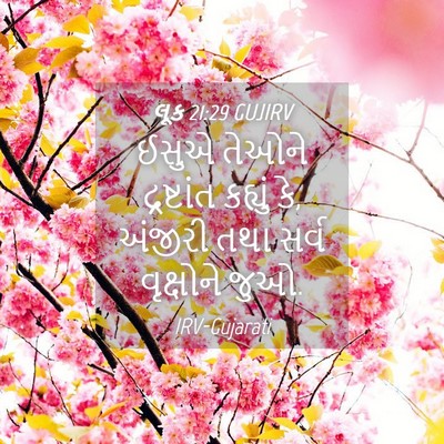 Picture 04 - લૂક 21:29 GUJIRV - ઈસુએ તેઓને - Bible Verse Picture