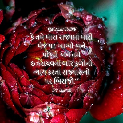 Picture 04 - લૂક 22:30 GUJIRV - કે તમે મારા - Bible Verse Picture