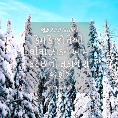 Picture 04 - લૂક 23:31 GUJIRV - કેમ કે જો તેઓ લીલા - Bible Verse Picture