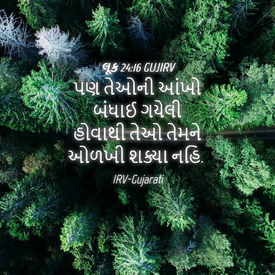 Picture 04 - લૂક 24:16 GUJIRV - પણ તેઓની આંખો - Bible Verse Picture