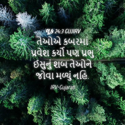 Picture 04 - લૂક 24:3 GUJIRV - તેઓએ કબરમાં - Bible Verse Picture