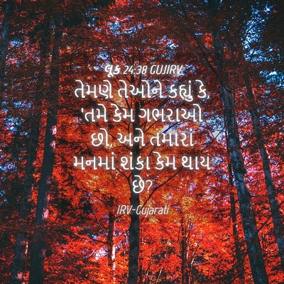 Picture 04 - લૂક 24:38 GUJIRV - તેમણે તેઓને - Bible Verse Picture