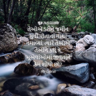 Picture 04 - લૂક 24:5 GUJIRV - તેઓએ ડરીને જમીન - Bible Verse Picture