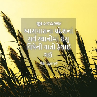 Picture 04 - લૂક 4:37 GUJIRV - આસપાસના પ્રદેશનાં - Bible Verse Picture