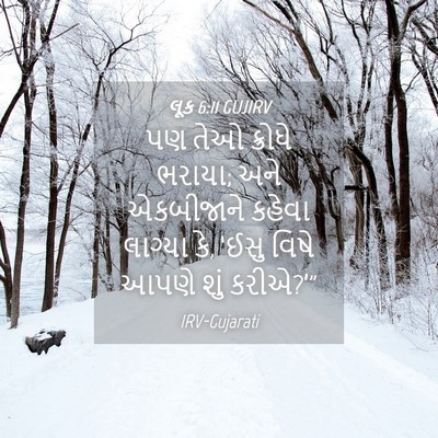 Picture 04 - લૂક 6:11 GUJIRV - પણ તેઓ ક્રોધે - Bible Verse Picture