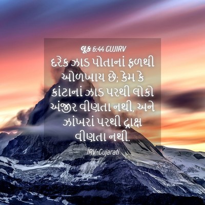 Picture 04 - લૂક 6:44 GUJIRV - દરેક ઝાડ પોતાનાં - Bible Verse Picture