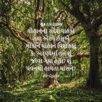 Picture 04 - લૂક 7:24 GUJIRV - યોહાનના - Bible Verse Picture