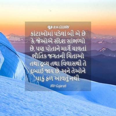 Picture 04 - લૂક 8:14 GUJIRV - કાંટાઓમાં પડેલાં - Bible Verse Picture