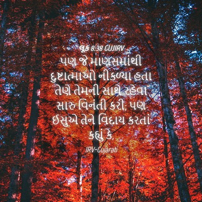 Picture 04 - લૂક 8:38 GUJIRV - પણ જે માણસમાંથી - Bible Verse Picture