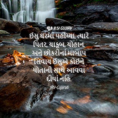Picture 04 - લૂક 8:51 GUJIRV - ઈસુ ઘરમાં - Bible Verse Picture