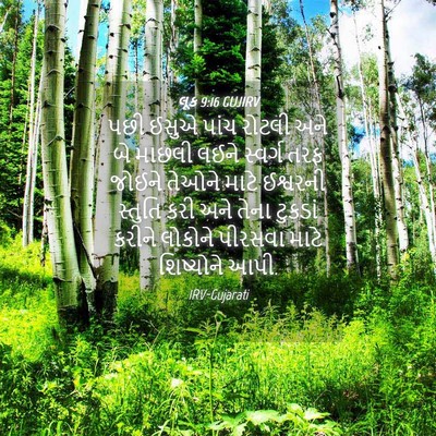 Picture 04 - લૂક 9:16 GUJIRV - પછી ઈસુએ પાંચ - Bible Verse Picture