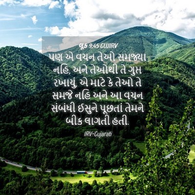 Picture 04 - લૂક 9:45 GUJIRV - પણ એ વચન તેઓ સમજ્યા - Bible Verse Picture