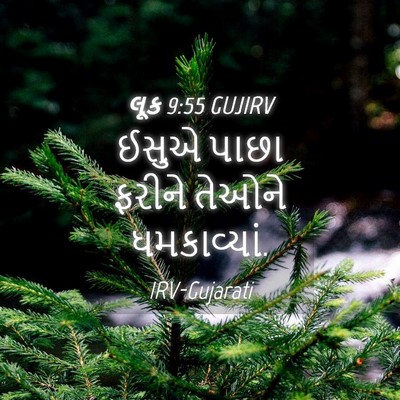 Picture 04 - લૂક 9:55 GUJIRV - ઈસુએ પાછા ફરીને - Bible Verse Picture