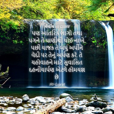 Picture 04 - લેવીય 1:13 GUJIRV - પણ આંતરિક ભાગો તથા - Bible Verse Picture